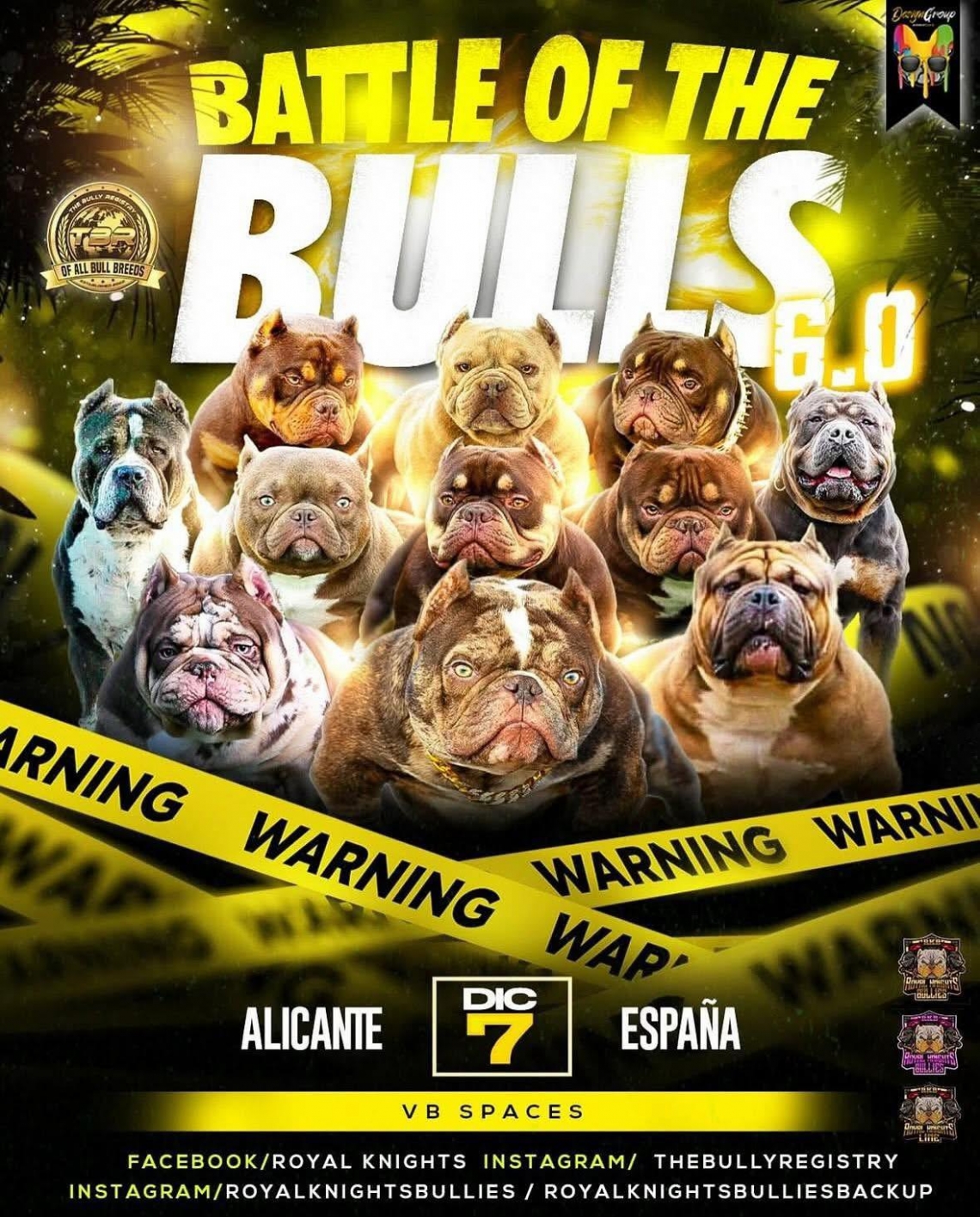 BUTTLE OF THE BULLS